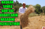 BAŞKAN SAVAŞ GDO’SUZ BUĞDAYLARIN HASADINI GERÇEKLEŞTİRDİ