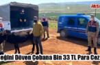Eşeğini Döven Çobana Bin 33 TL Para Cezası