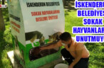 İSKENDERUN BELEDİYESİ SOKAK HAYVANLARINI UNUTMUYOR