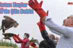 Yırtıcı Kuşlar MKÜ’de Şifa Buldu