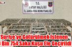 Suriye’ye Götürülmek İstenen 3 Bin 754 Saka Kuşu Ele Geçirildi