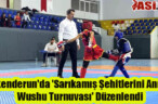İskenderun’da ‘Sarıkamış Şehitlerini Anma Wushu Turnuvası’ Düzenlendi