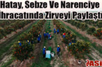 Hatay, Sebze Ve Narenciye İhracatında Zirveyi Paylaştı