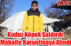 Kuduz Köpek Saldırdı, Mahalle Karantinaya Alındı