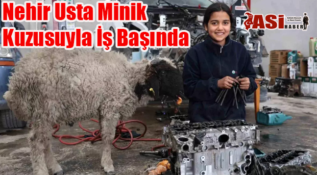 Nehir Usta Minik Kuzusuyla İş Başında