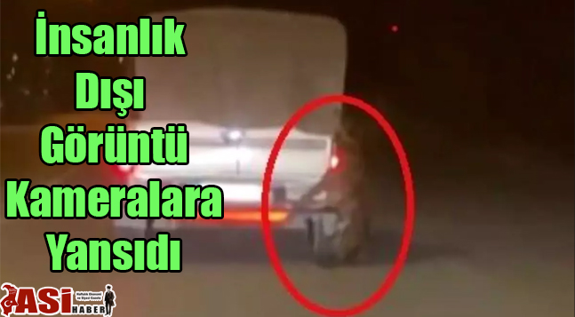İnsanlık Dışı Görüntü Kameralara Yansıdı