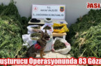 Uyuşturucu Operasyonunda 83 Gözaltı