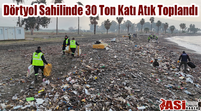 Dörtyol Sahilinde 30 Ton Katı Atık Toplandı