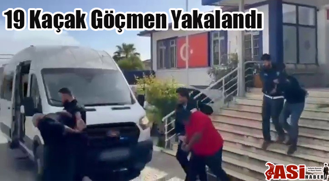 19 Kaçak Göçmen Yakalandı