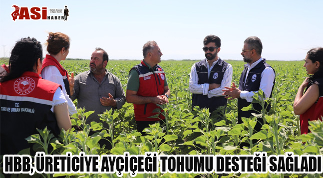 HBB, ÜRETİCİYE AYÇİÇEĞİ TOHUMU DESTEĞİ SAĞLADI