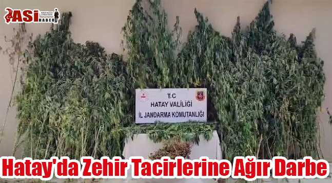 Hatay’da Zehir Tacirlerine Ağır Darbe