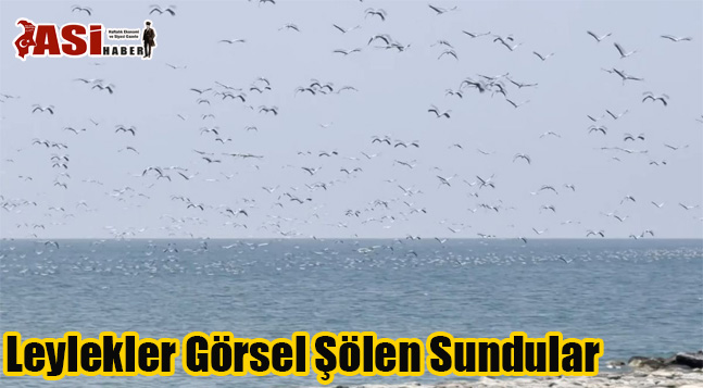 Leylekler Görsel Şölen Sundular